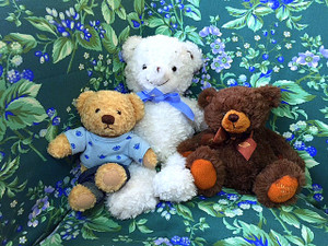Photo_3